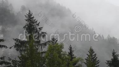 斯洛文尼亚洛加尔斯卡多利纳，低云的高山河谷雨天